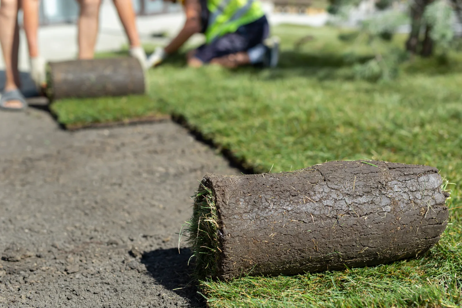 Układanie trawy z rolki na przygotowanym terenie miejskim